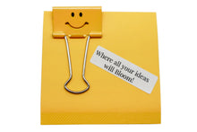 Load image into Gallery viewer, Box of Sunshine - The Garden Foundation
